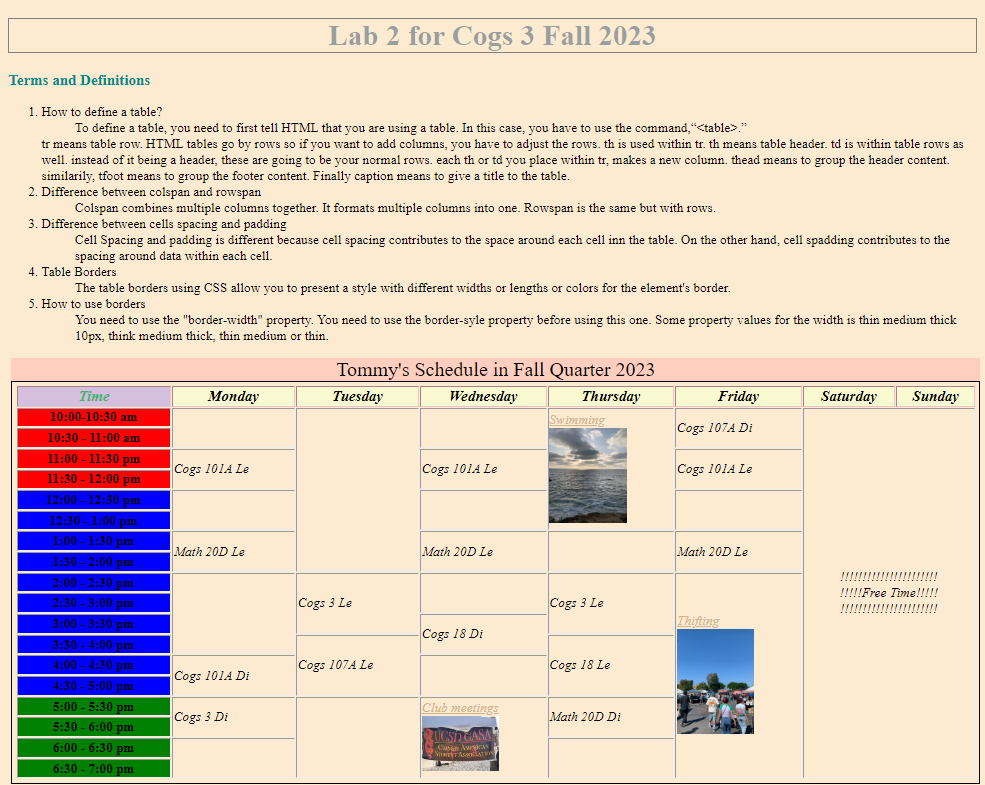 Organizational Planner Project Image